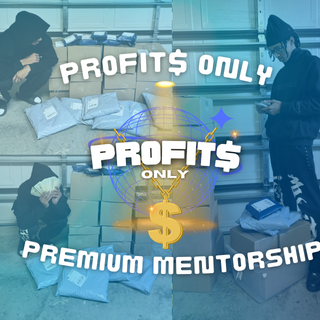 PROJECT PROFIT PREMIUM MENTORSHIP